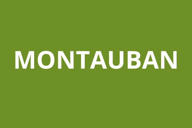 LOGO Montauban agence CAF