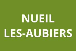 Agence CAF logo Nueil-les-aubiers